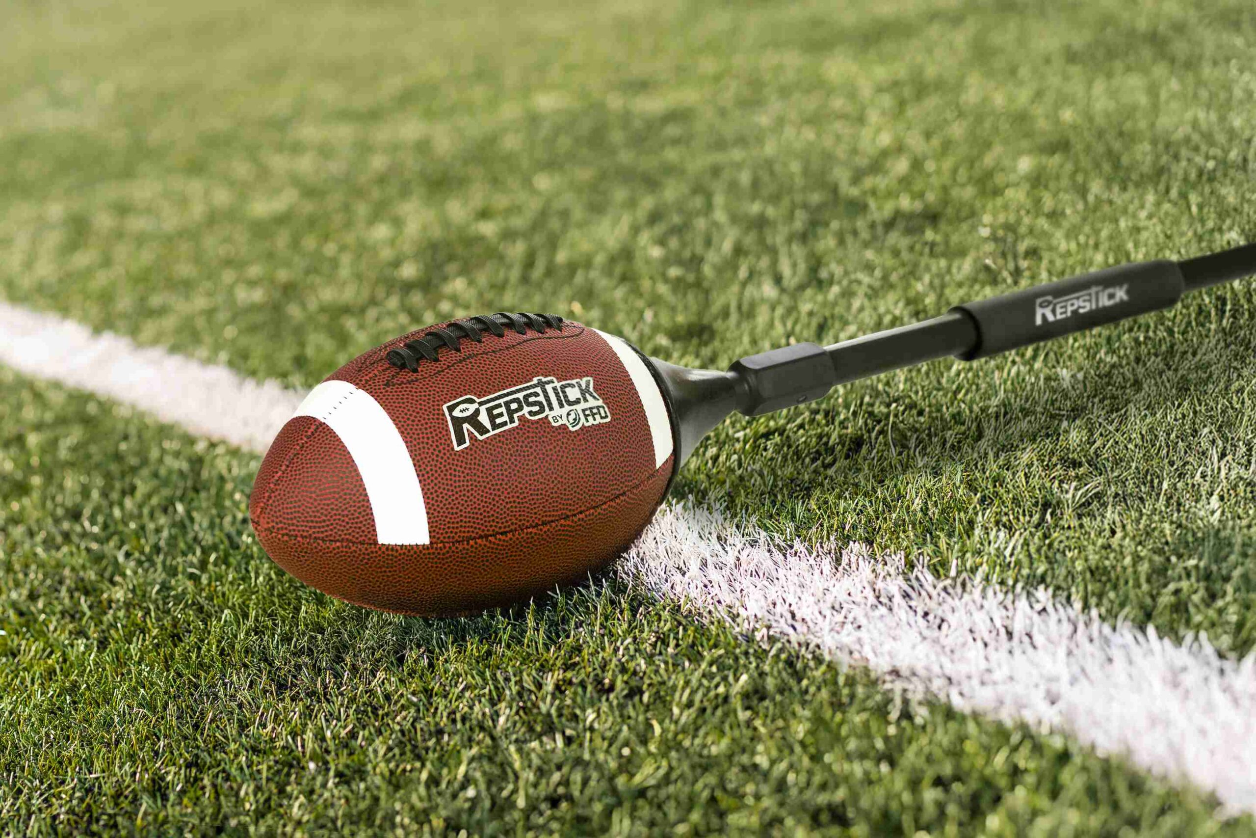 Repstick on grass compressed image